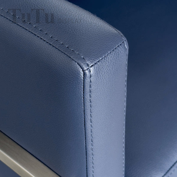 DM317 Metal Frame Chair with Pillow