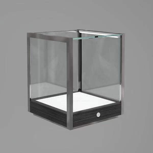 DM33 Custom Made Glass Display Case