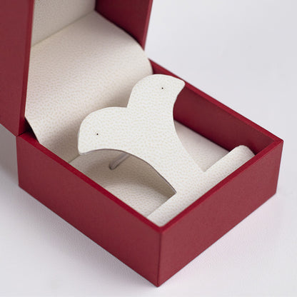 BX073 Custom Jewellery Display Gift Box for Earring