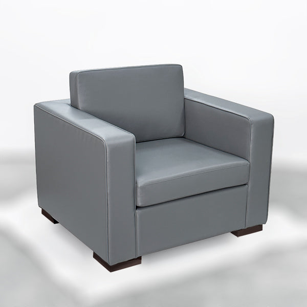 DM214 Grey Hand Chair Sofa with Cushion