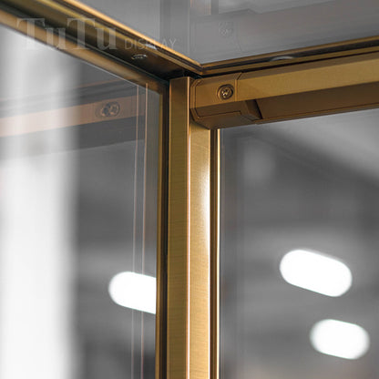 EX02 Luxury Jewelry Display Showcase With Metal