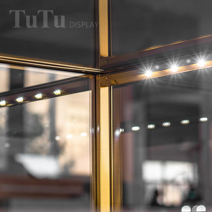 EX02 Luxury Jewelry Display Showcase With Metal