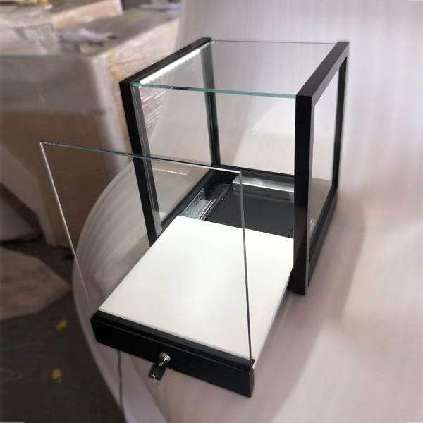 DM-33 Custom Made Glass Display Case